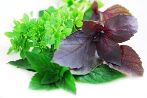 Cover photo for 2020 Master Gardener Course Delayed