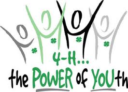 Cover photo for Celebrating 4-H Achievements