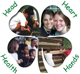 Cover photo for Resolutions for a New Year