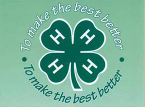 Cover photo for What Is 4-H?