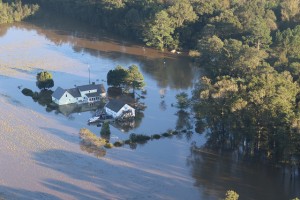 Cover photo for Managing Storm and Disaster Damage in Landscapes and Nurseries