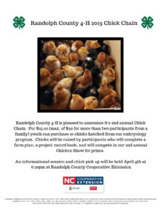 chickens