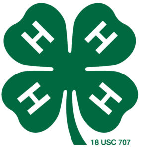 4-H clover