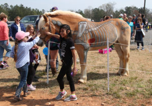 Polaris Equine Mobile Veterinary Clinic's horse was a huge hit with folks of all ages!