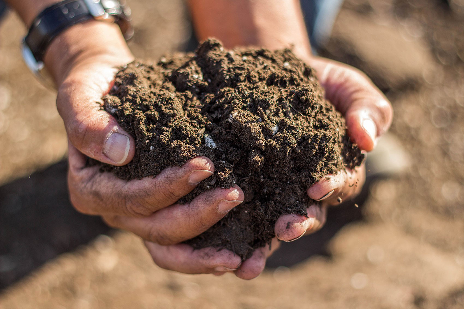 What Does Silt Soil Feel Like