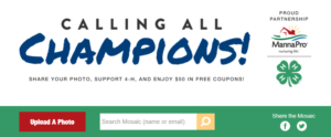 screen shot of the MannaPro Calling All Champions promotion page