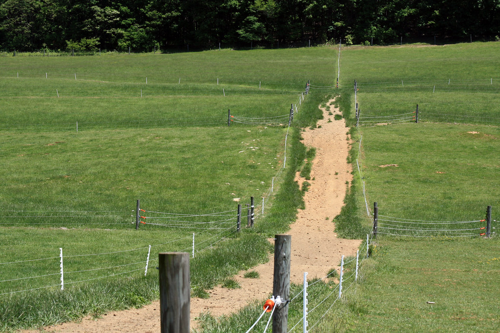 Electric Fence Wire Geared Reel for Storing Polywire Cattle