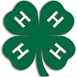 4-H clover logo