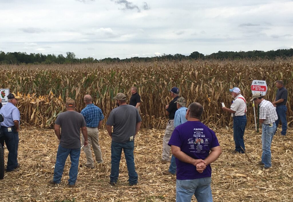 Corn Variety Demonstration Plot