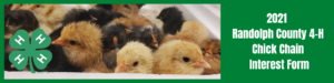 Cover photo for Get Eggcited! It's Time for the Randolph County 4-H Chick Chain