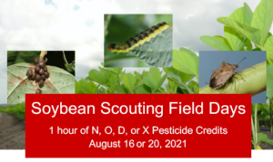 Soybean Field Days