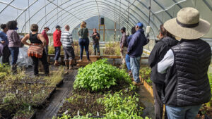 Cover photo for Chatham County Farm Field Day for NC Farm School