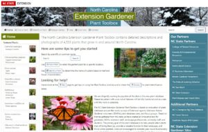 Cover photo for How to Use a Plant Name to Search the EG Toolbox for the Plant Profile, Images, and Videos