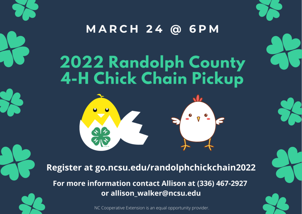 chick chain pick up information