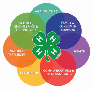 4-H programs (Science, Engineering & Technology; Agriculture; Family & Consumer Sciences; Health; Communications and Expressive Arts; Leadership; and Natural Resources)