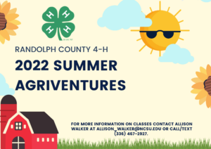 summer agriventures with barn and sun