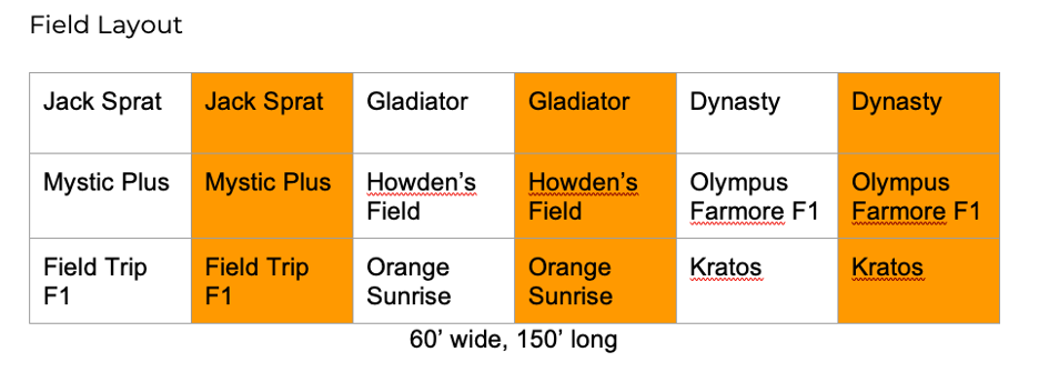 image of pumpkin site map with varieties placed in the rows. 