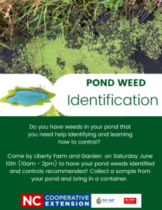 flyer outlining an opportunity on June 10th, 2023 to have aquatic weeds identified