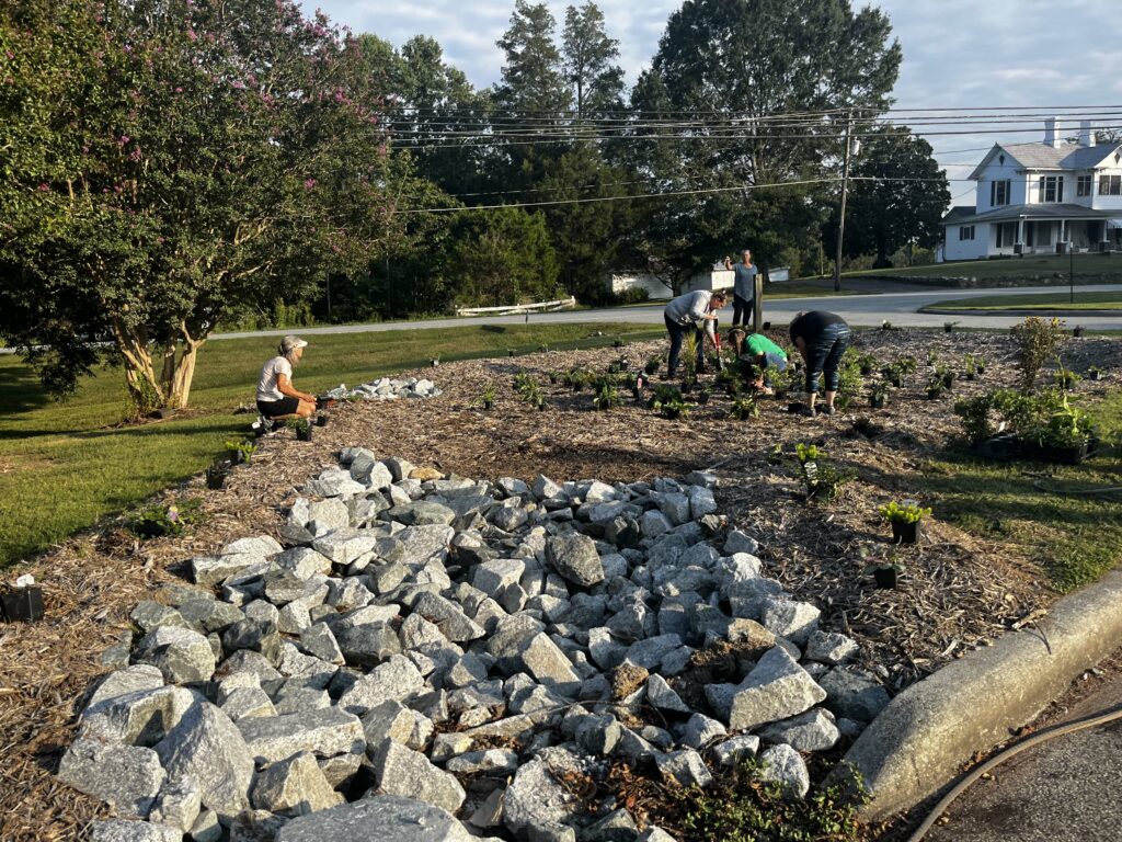 A group of people work on a rain garden.