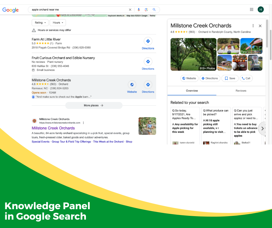 Google search results knowledge panel