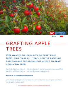 Cover photo for Grafting Apple Trees