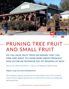 Cover photo for Pruning Fruit Trees and Small Fruit Plants