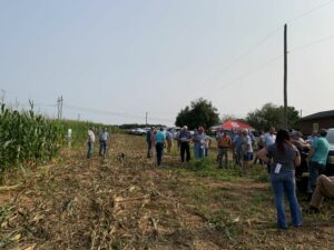 Cover photo for 2025 Randolph County Corn Field Day